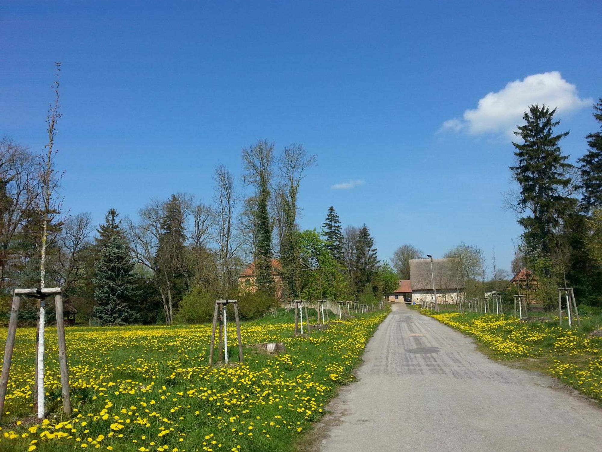 GlewitzWasserburg Turow住宿加早餐旅馆 外观 照片