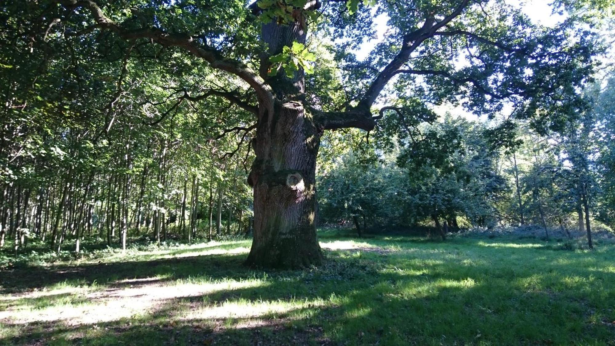 GlewitzWasserburg Turow住宿加早餐旅馆 外观 照片